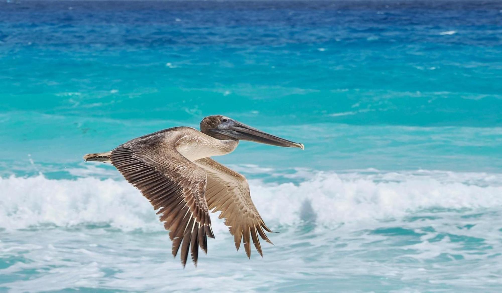 Solymar Beach Condos Κανκούν Εξωτερικό φωτογραφία