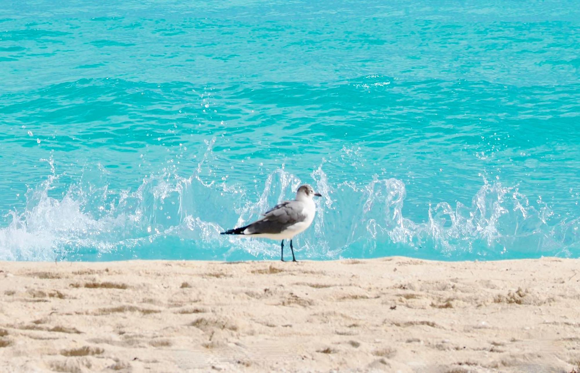 Solymar Beach Condos Κανκούν Εξωτερικό φωτογραφία